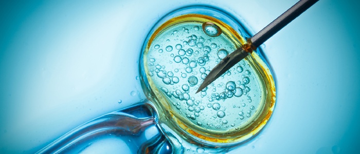 Important Facts Everyone should know before Considering IVF