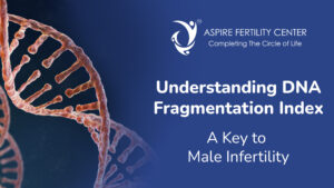 Understanding DNA Fragmentation Index Test