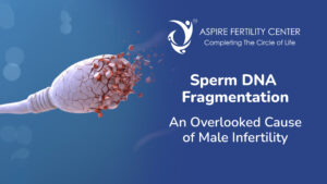 Sperm DNA Fragmentation: An Overlooked Cause of Male Infertility
