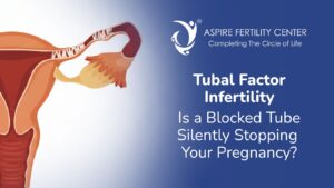Tubal Factor Infertility: Is a Blocked Tube Silently Stopping Your Pregnancy?